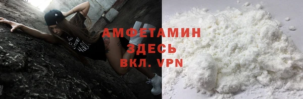 гидра Новозыбков
