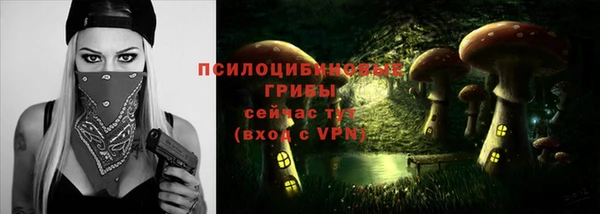 Альфа ПВП Нягань