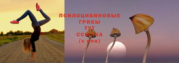 гидра Новозыбков