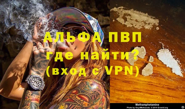 гидра Новозыбков
