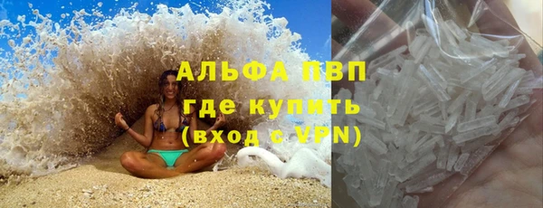 гидра Новозыбков