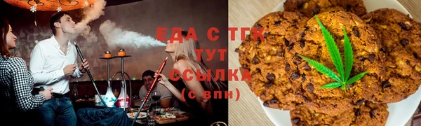 гидра Новозыбков