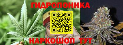 твердый Гусь-Хрустальный