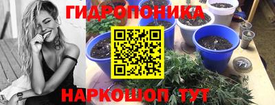 дурь Берёзовский