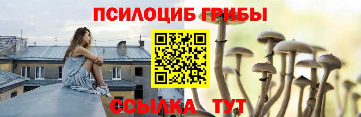Псилоцибиновые грибы Psilocybe  Галлюциногенные грибы ЛСД  Кольчугино 