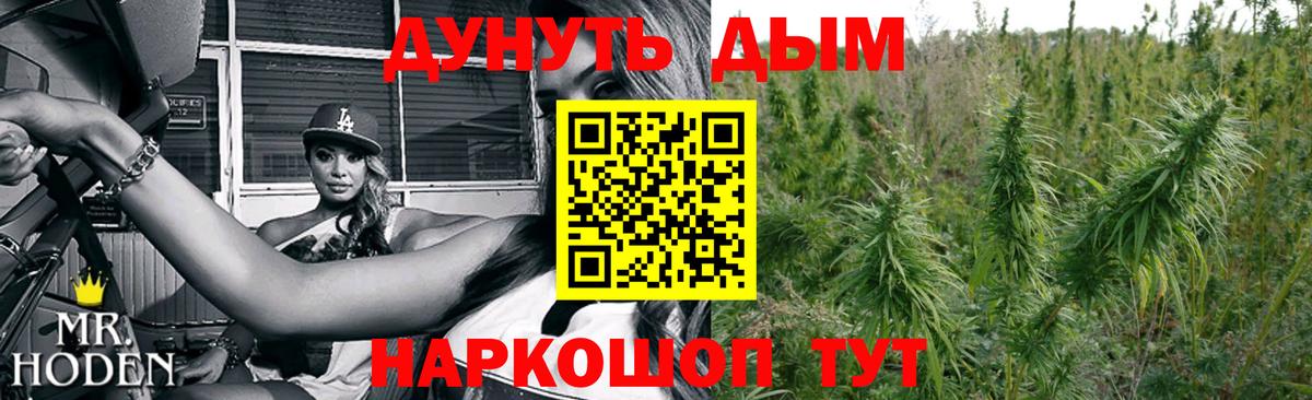 Конопля ГИДРОПОН Кольчугино